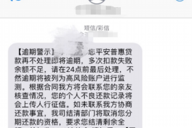 衡阳为什么选择专业追讨公司来处理您的债务纠纷？